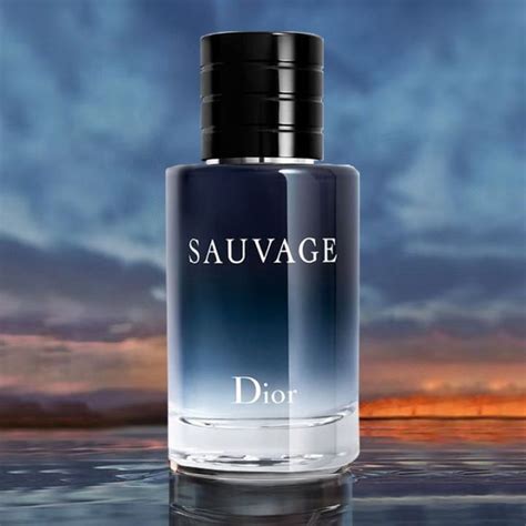 dior sauvage oil based